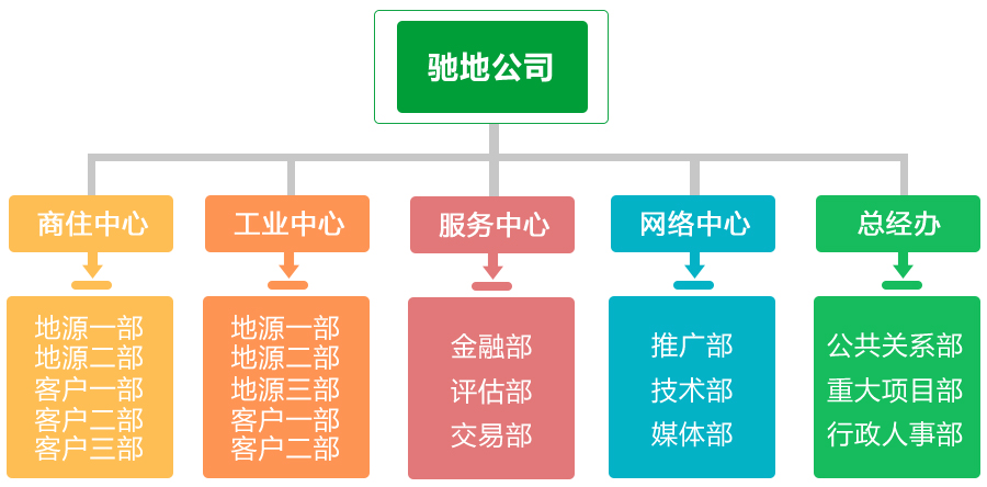 驰地网络科技有限公司组织架构