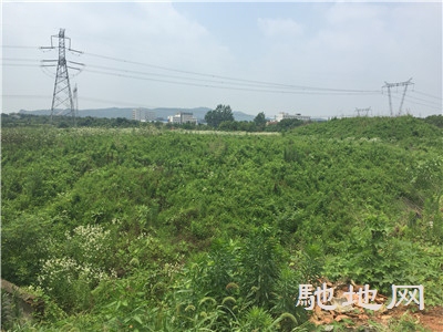 湖北省武汉市江夏区庙山花山大道30亩工业用地转让