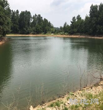 湖北省武汉市黄陂区30亩生态旅游用地转让