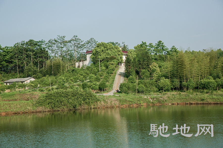 湖北省咸宁市崇阳县310亩优质生态园低价转让